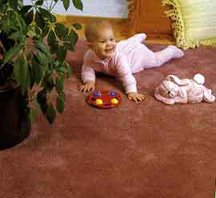 Baby.jpg