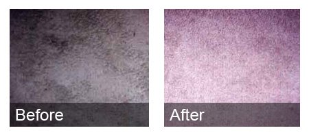 Carpet Cleaning Carver MA | JH Cleaning - beforeandafter