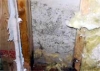 Mold Remediation Hanson MA | JH Cleaning - 802